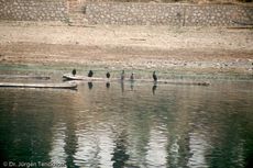 China (241 von 257).jpg